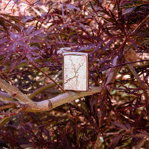 Zippo vžigalnik 49486 Cherry Blossoms