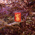 Zippo vžigalnik 49517 Eastern Chinese Temple