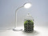 Asalite ASAL0203 Namizna svetilka LED 6W NW 500 lm